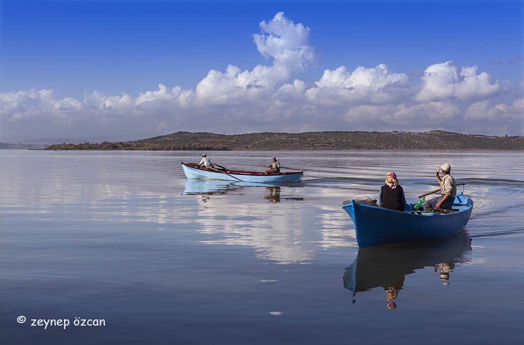 Gölyazı