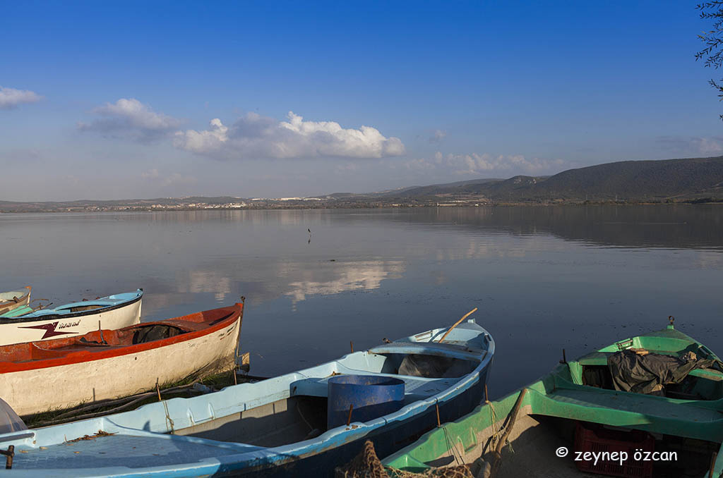 Gölyazı