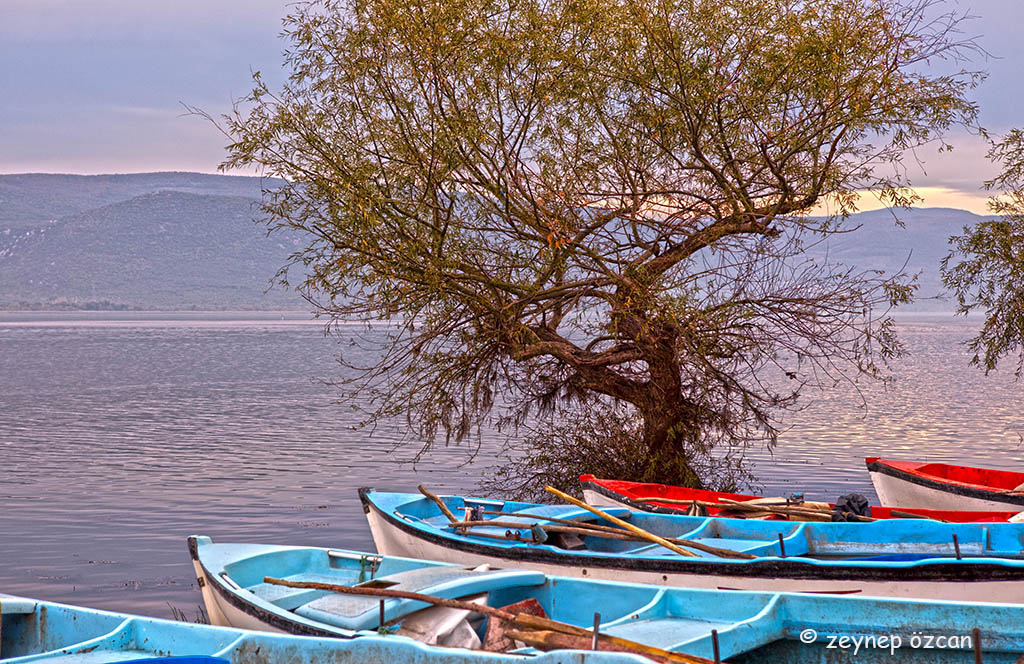 Gölyazı