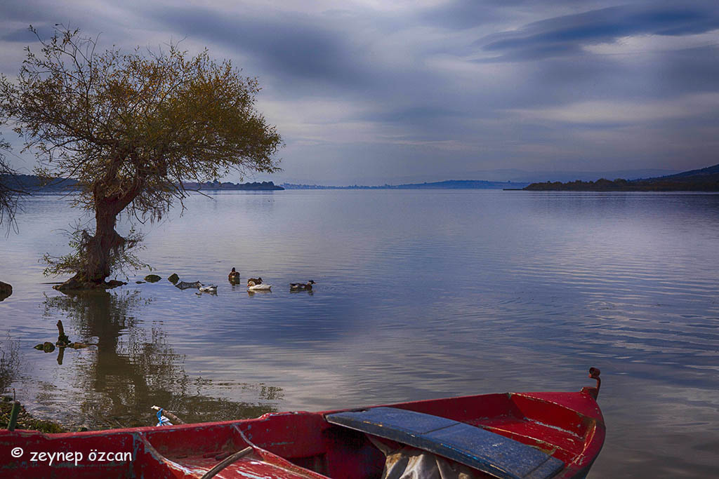 Gölyazı