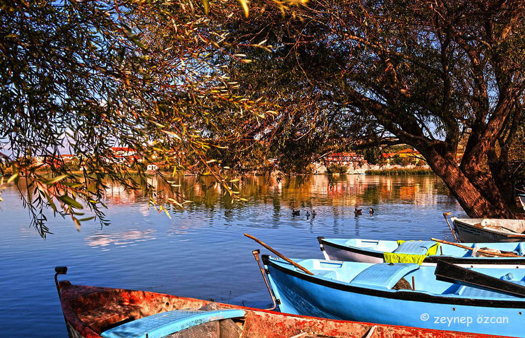 Gölyazı