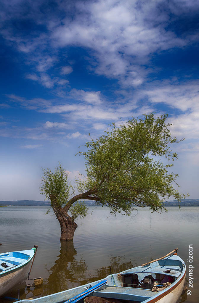 Gölyazı