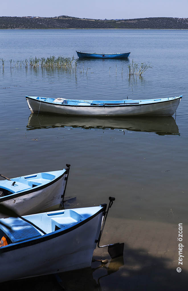 Gölyazı